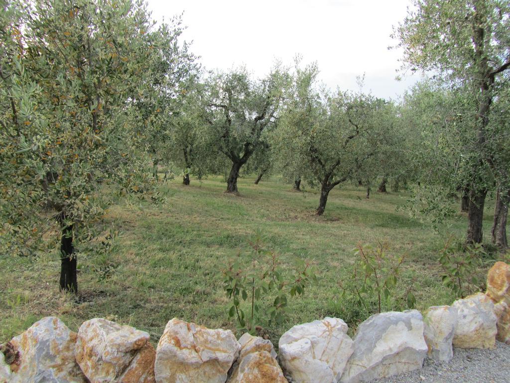 Agriturismo Borghetto Il Montino Rapolano Terme Zewnętrze zdjęcie