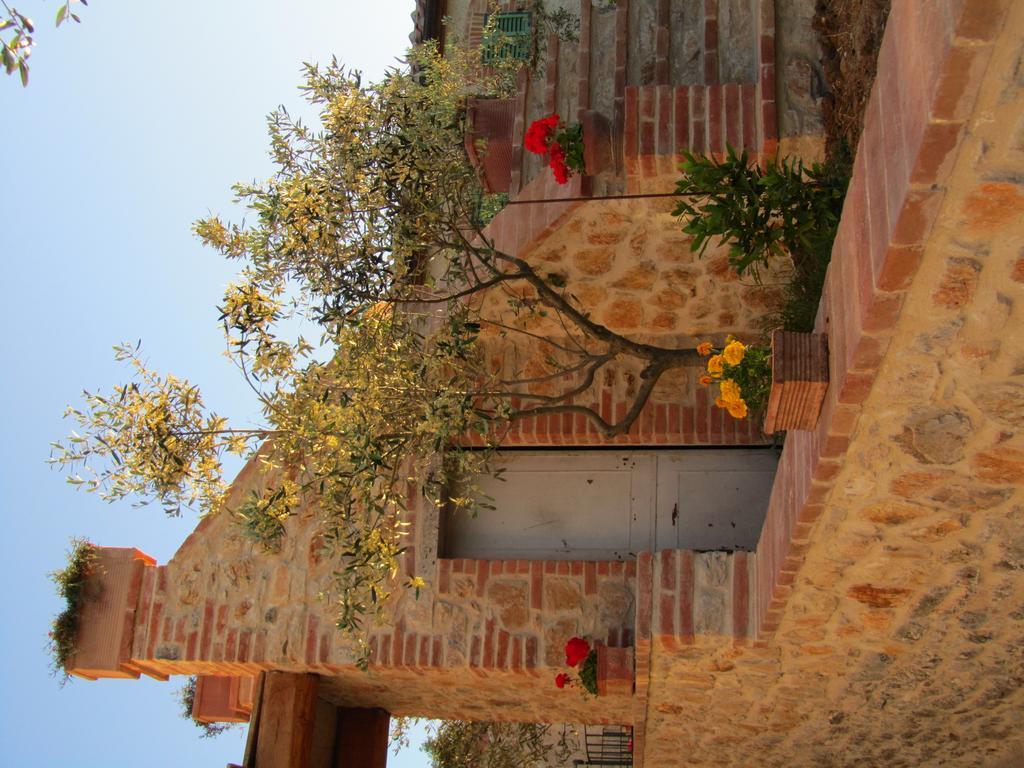 Agriturismo Borghetto Il Montino Rapolano Terme Zewnętrze zdjęcie