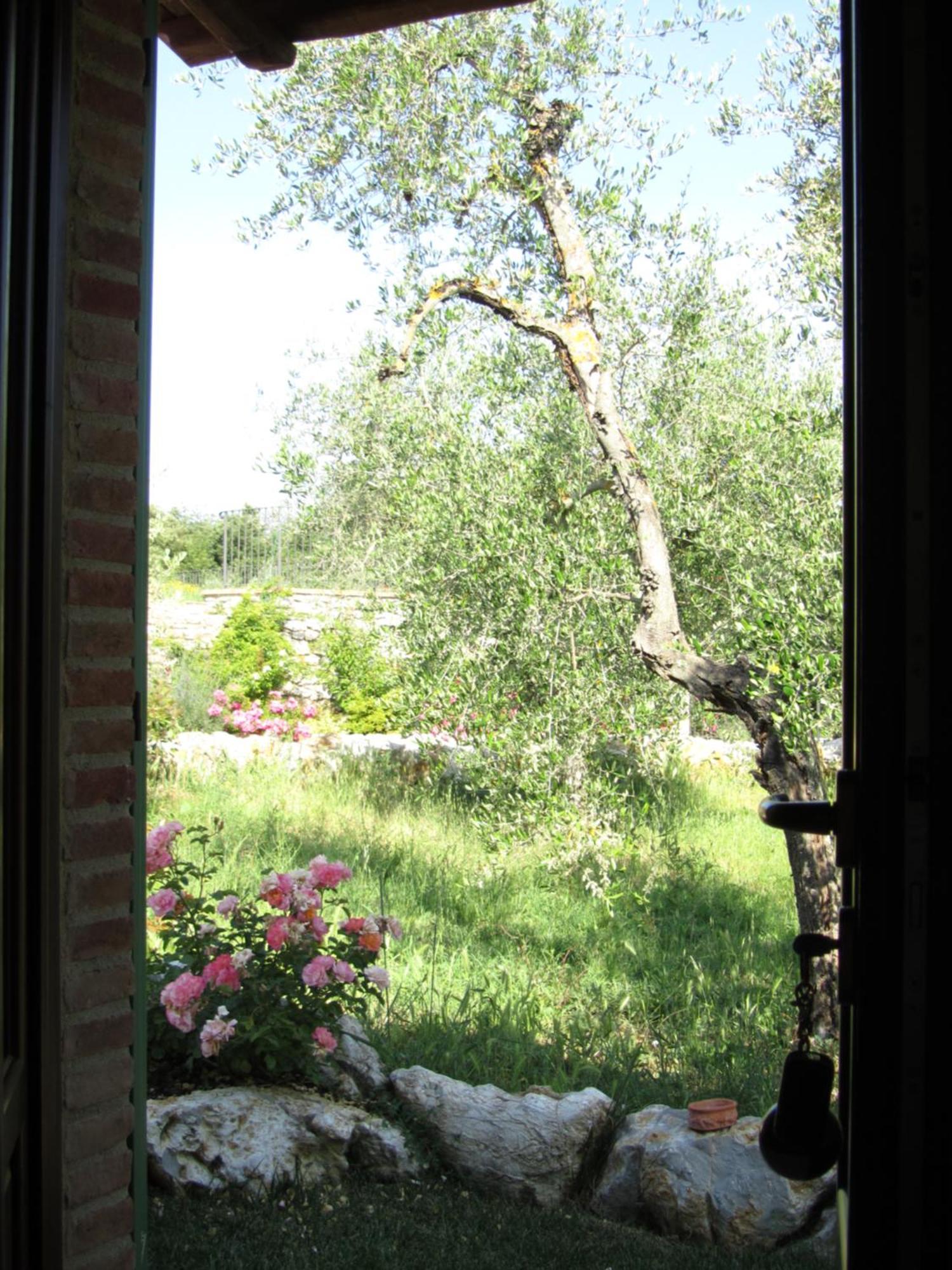 Agriturismo Borghetto Il Montino Rapolano Terme Zewnętrze zdjęcie