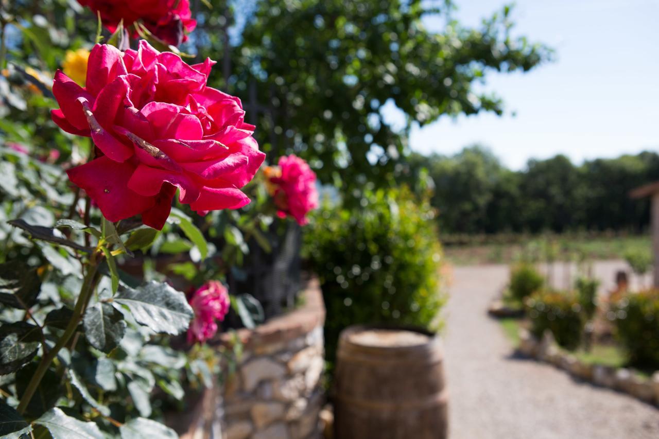 Agriturismo Borghetto Il Montino Rapolano Terme Zewnętrze zdjęcie