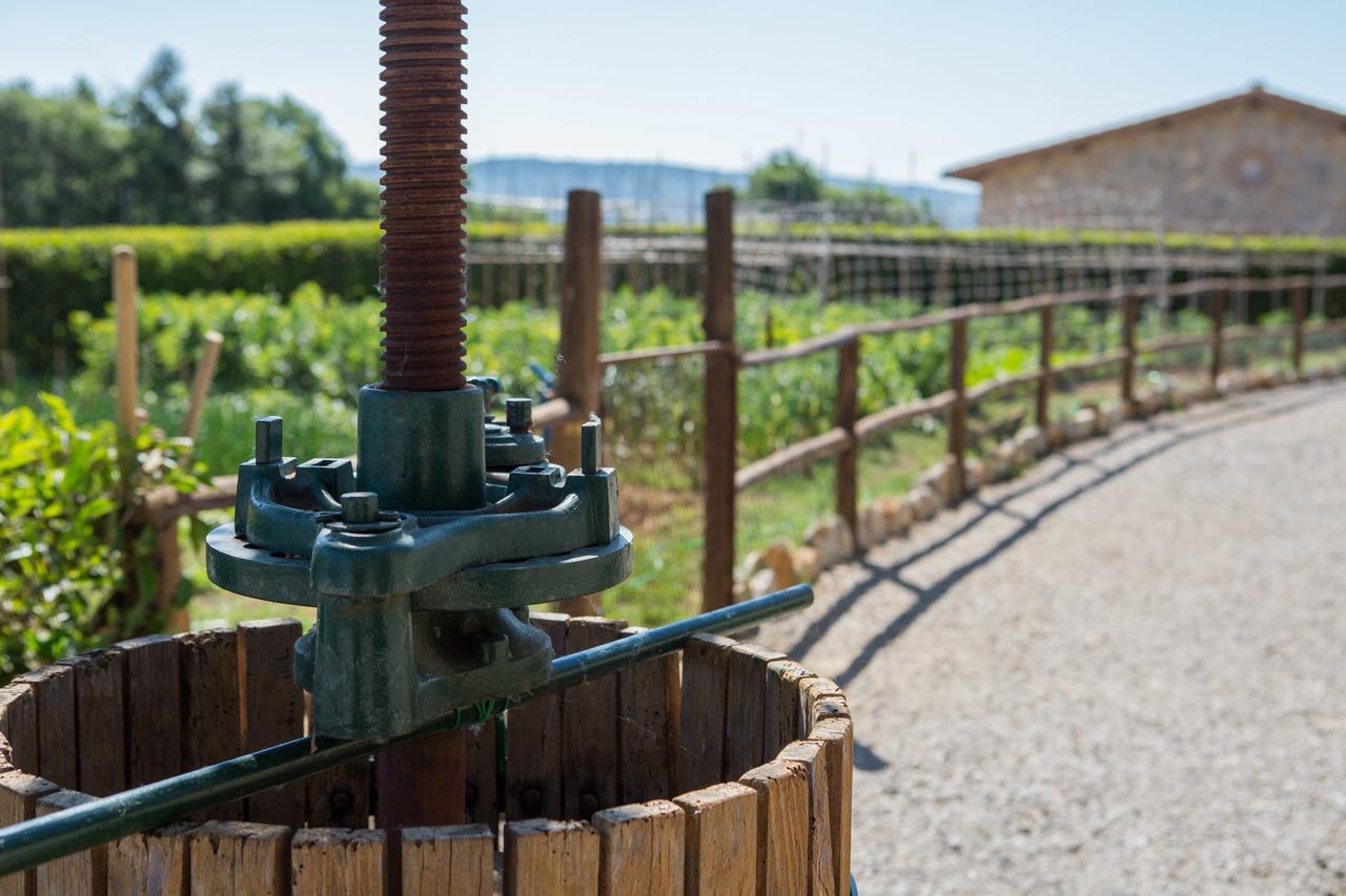 Agriturismo Borghetto Il Montino Rapolano Terme Zewnętrze zdjęcie