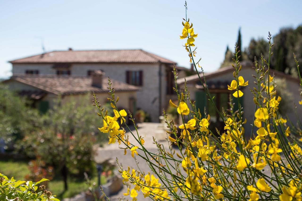 Agriturismo Borghetto Il Montino Rapolano Terme Zewnętrze zdjęcie